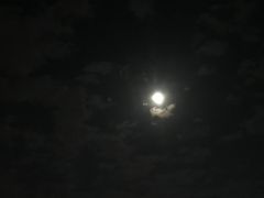 -富豪雪糕车流动点(尖沙咀)