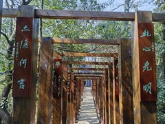 -云碧峰国家森林公园