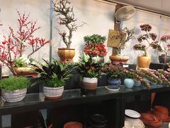 -双季花艺园艺市场(浦东店)