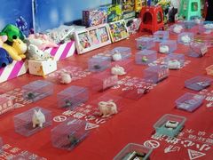 -万达广场(东莞厚街店)
