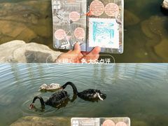 -大青山野生动物园
