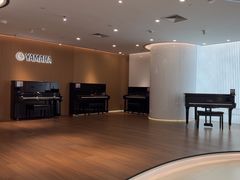 -雅马哈乐器专卖店(广州旗舰店)
