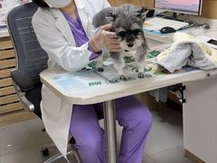 -瑞派宠物医院·24h·骨外科·皮肤科·全科宠物医疗转诊中心(沈阳浑南院)