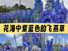 -海心沙亚运公园