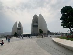 -野狸岛