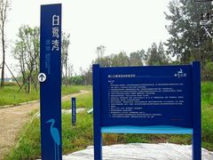 -白鹭湾湿地公园
