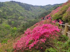 -木兰云雾山