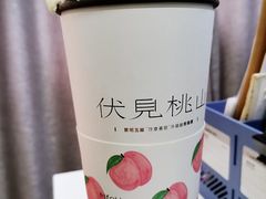 -伏小桃(明瓦廊店)