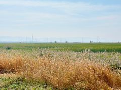-野鸭湖国家湿地公园