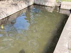 -北京水岸山吧度假村(雁栖镇店)