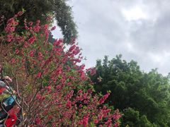 -桃花涧