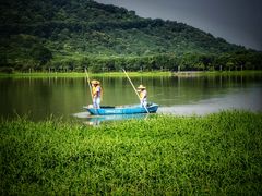 -风云岭森林公园