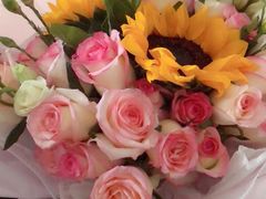 -可莎蜜儿(西溪欢乐城店)