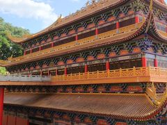 -东莞市大岭山森林公园