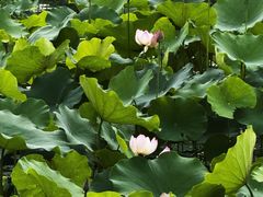-百翠山居.家飨餐厅