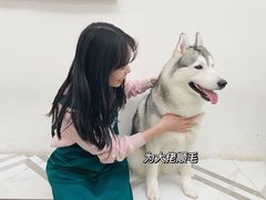 -星多哈·狗咖·拼豆·咖啡