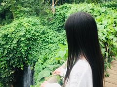 -南山植物园