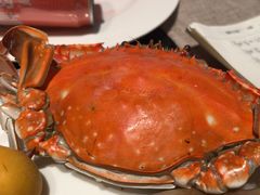 -东方红海鲜百汇(国际大厦店)