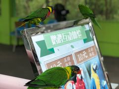 -宁波野生动物园