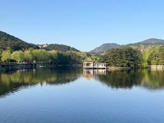 -庐山风景区花径公园