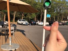 -青龙山国家森林公园