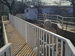 -丽泽山庄·生态怀柔菜·虹鳟鱼(红螺寺店)