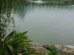 -豪亨世家牛排自助(乐群店)