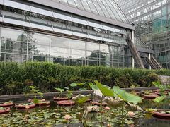 -南山植物园