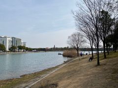 -美兰湖景区