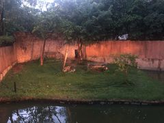 -清迈夜间动物园