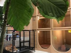 -電力宠物公司(武定路店)