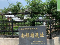 -巢湖姥山岛