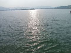 -西湖外事游船(花港观鱼码头)