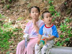 -火炉山森林公园