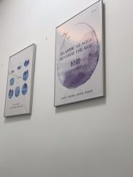 -agge蛋白医美