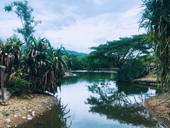 -清迈夜间动物园