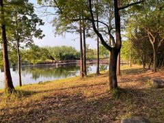 -宁波杭州湾国家湿地公园