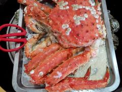 android_upload_pic-蚝专家(北滘店)