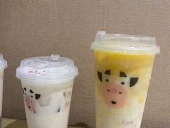 -一只酸奶牛(八一路店)