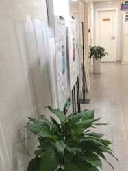 -安徽合肥韩美整形外科医院