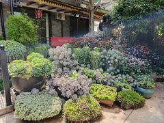 -山菌美食苑(振兴路店)