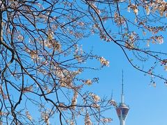 -红星桥(地铁站)