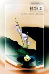 -一本X目奈子日式单根美睫专业店
