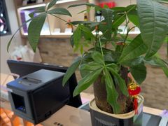 -林辉家宴·本地家常菜·头牌清远鸡(先锋店)