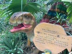-呀路古热带植物园
