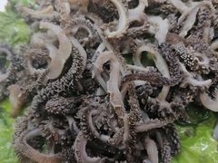 -协顺园回头馆(南顺城路店)