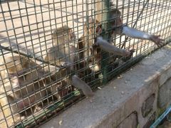 -南京金牛湖风景区