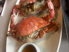 -开海·红岛海鲜虾水饺(石老人店)