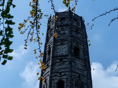 -上海佘山国家森林公园天马山园