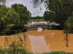 -灞河西岸滨河公园